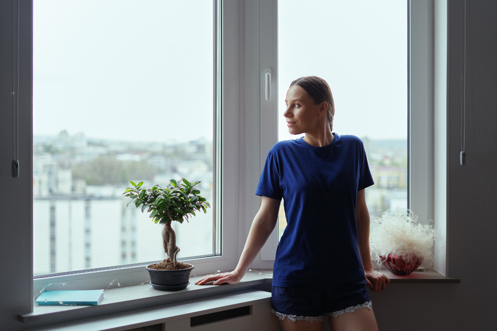 Roanoke Window Styles